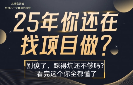 25年，你还在疯狂的找项目吗？别傻了，看完这个你都懂了【揭秘】-领学通