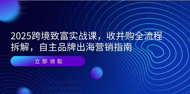 （14975期）2025跨境致富实战课，收并购全流程拆解，自主品牌出海营销指南-领学通