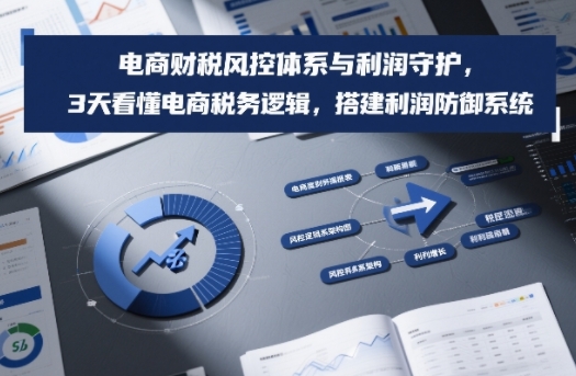 电商财税风控体系与利润守护，3天看懂电商税务逻辑，搭建利润防御系统-领学通