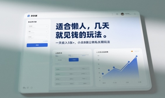 适合懒人,几天就见钱的玩法,一天收入5张+,小众B端公转私长期玩法-领学通