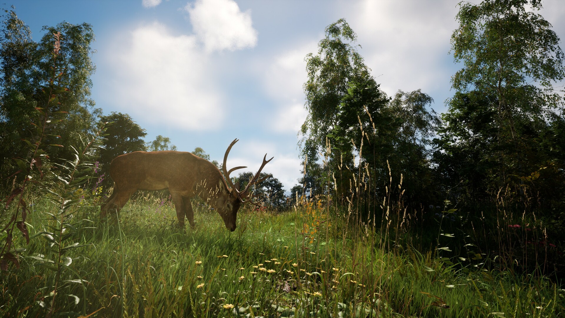 《恐惧地带》v1.3.9.1中文版-趣奇资源网-第6张图片 《恐惧地带》v1.3.9.1中文版-趣奇资源网-第6张图片