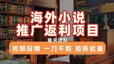 海外小说推广返利项目，视频投喂， 一刀不剪，矩阵批量-领学通