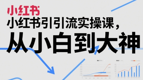 小红书引流实操课，从小白到大神-领学通