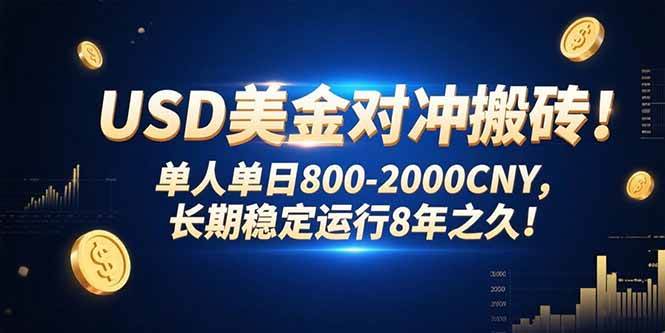 （15551期）USD美金对冲搬砖!单人单日800-2000CNY，长期稳定运行8年之久!-领学通