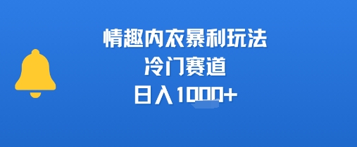 情趣内衣暴利玩法，冷门赛道，日入1k+-领学通