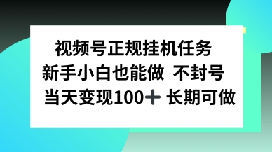 视频号正规挂播任务，有手就行不违规，轻松日入1张-领学通