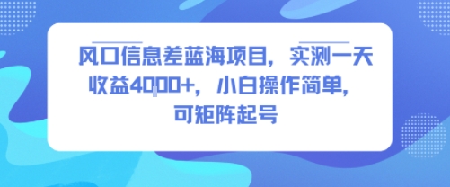 风口信息差蓝海项目，实测一天收益4k+，小白操作简单，可矩阵起号-领学通
