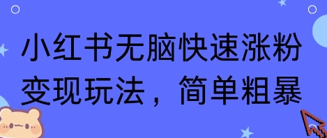 小红书无脑快速涨粉变现玩法，简单粗暴-领学通