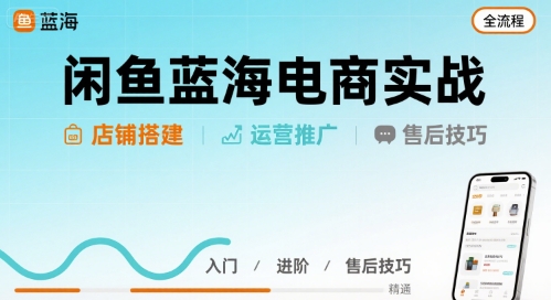 闲鱼蓝海电商实战，店铺搭建运营售后全流程-领学通