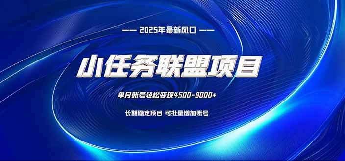 （16521期）小任务联盟项目：一台电脑每天只需10分钟，轻松简单稳定-领学通