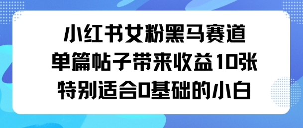 小红书女粉黑马赛道单篇帖子带来收益10张特别适合0基础的小白-领学通