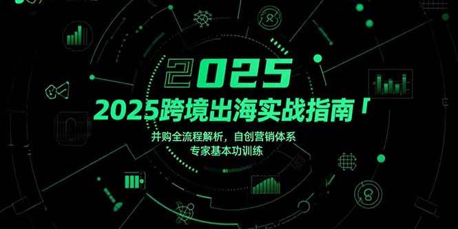 （15503期）2025跨境出海实战指南，并购全流程解析，自创营销体系，专家基本功训练-领学通