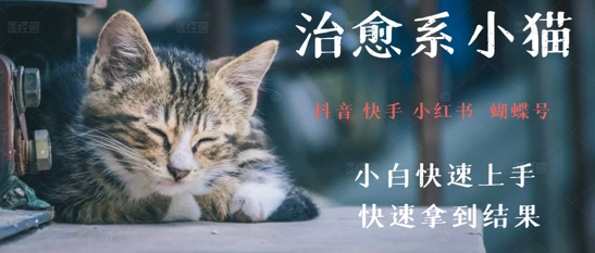 拆解，疯狂火爆！抖音，小红书，视频号小猫治愈的视频，轻松制作+快速拿到结果-领学通