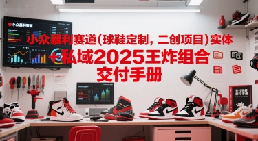 小众暴利赛道(球鞋定制，二创项目)实体+私域2025王炸组合 交付手册-领学通