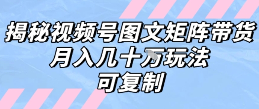 解密视频号图文矩阵带货，月入几个W的打法，可复制-领学通