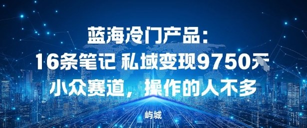 蓝海冷门产品:16条笔记私域变现9750米,小众赛道,操作的人不多-领学通