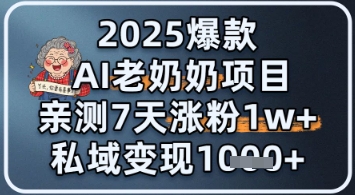2025爆款 AI 老奶奶项目：亲测 7 天涨粉 1W+，私域变现 1k+-领学通
