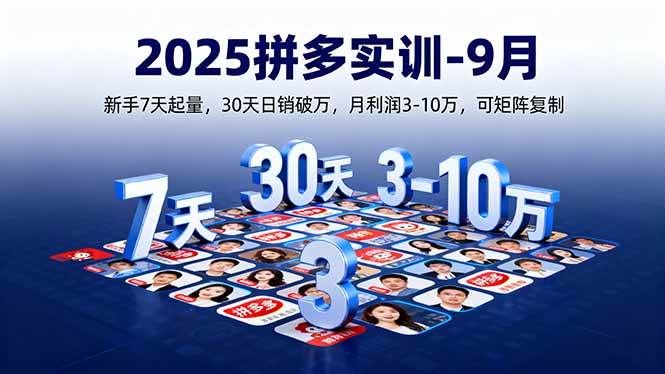 （16008期）2025拼多多实训-9月：新手7天起量,30天日销破万,月利润3-10万,可矩阵复制-领学通