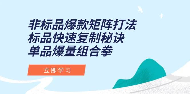 （15068期）非标品爆款矩阵打法，标品快速复制秘诀，单品爆量组合拳-领学通