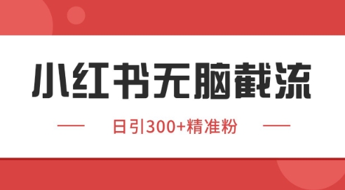 小红书截流同行客源，独家野路子获客玩法 日引200+暴力获客【揭秘】-领学通