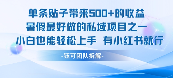 单条贴子带来5张的收益，暑假最好做的私域项目之一，小白也能轻松上手，有小红书就行-领学通