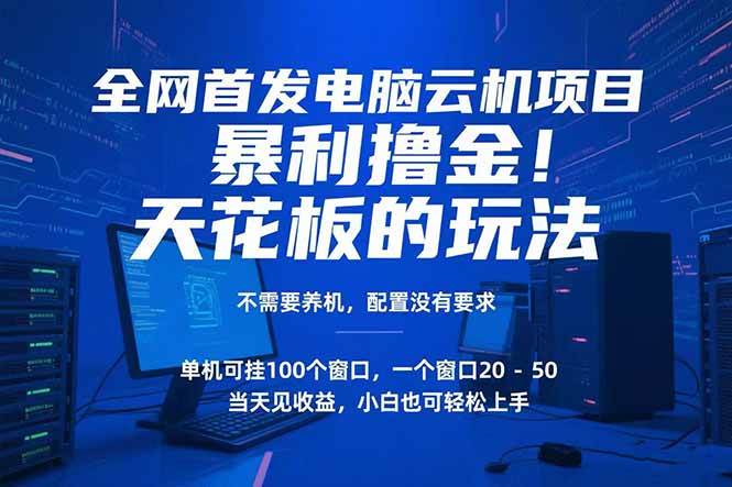 （15323期）电脑云机项目 暴力撸金玩法，不需要养机 配置没有要求 单机100个窗口一…-领学通