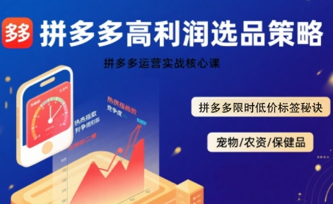拼多多选品暴利技术实战课，拼多多高利润选品策略，拼多多限时低价标签秘诀-领学通