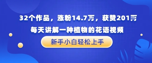 32个作品，涨粉14.7W，获赞201W，每天讲解一种植物的花语视频，无需任何技巧，新手小白轻松上手-领学通