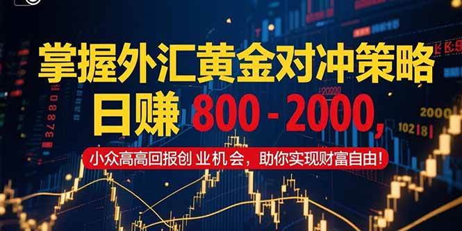 （15198期）掌握外汇黄金对冲策略，日赚 800 – 2000，小众高回报创业机会，助你实…-领学通