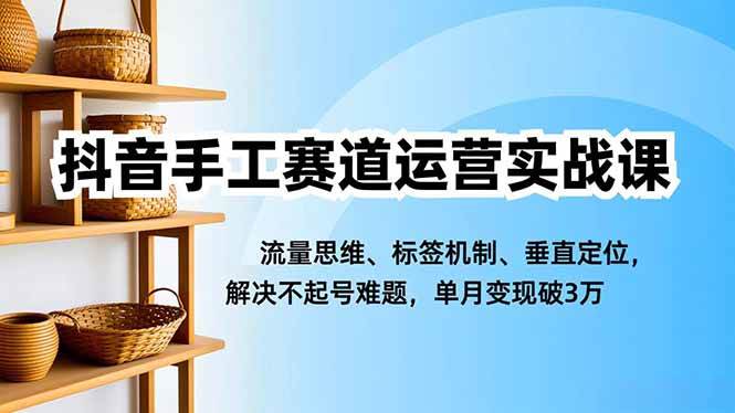 (16667期)抖音手工赛道运营实战课,流量思维、标签机制、垂直定位,解决不起号难题,单月变现破3万-领学通