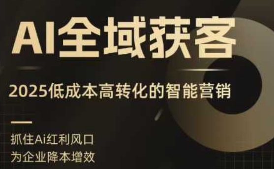 AI全域获客实训营，2025低成本高转化的智能营销，精准找客，高效营销-领学通