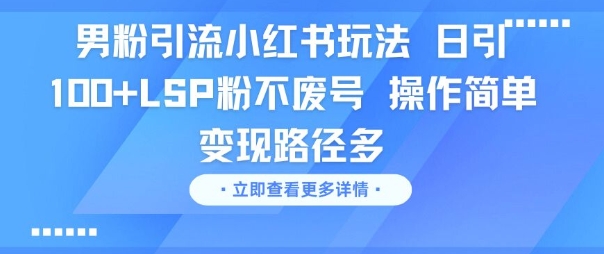 男粉引流小红书玩法，日引100+LSP粉不废号，操作简单，变现路径多-领学通