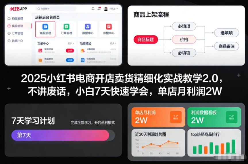 2025小红书电商开店卖货精细化实战教学2.0，不讲废话，小白7天快速学会，单店月利润2W-领学通