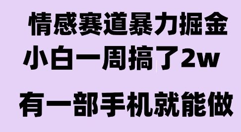 情感暴力掘金项目，新人操作一周挣了2W，长期稳定小白可做【揭秘】-领学通