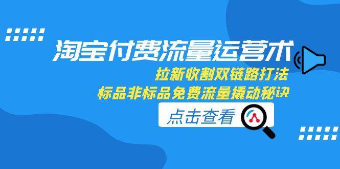 （15135期）淘宝付费流量运营术，拉新收割双链路打法，标品非标品免费流量撬动秘诀-领学通