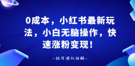 0成本，小红书最新玩法，小白无脑操作，快速涨粉变现-领学通