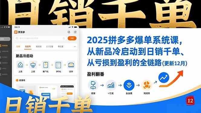 （16894期）2025拼多多爆单系统课，从新品冷启动到日销千单、从亏损到盈利的全链路（更新12月）-领学通