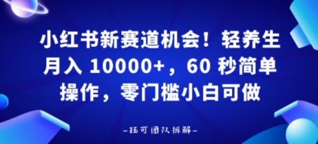 小红书新赛道机会，轻养生月入 1w，60 秒简单操作，带货接广都可以，零门槛小白可做-领学通