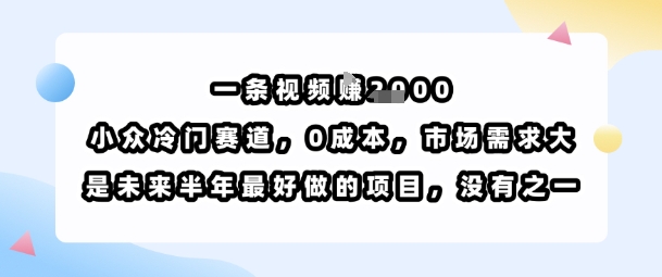 一条视频挣1k，小众冷门赛道，0成本，市场需求大，是未来半年最好做的项目，没有之一-领学通