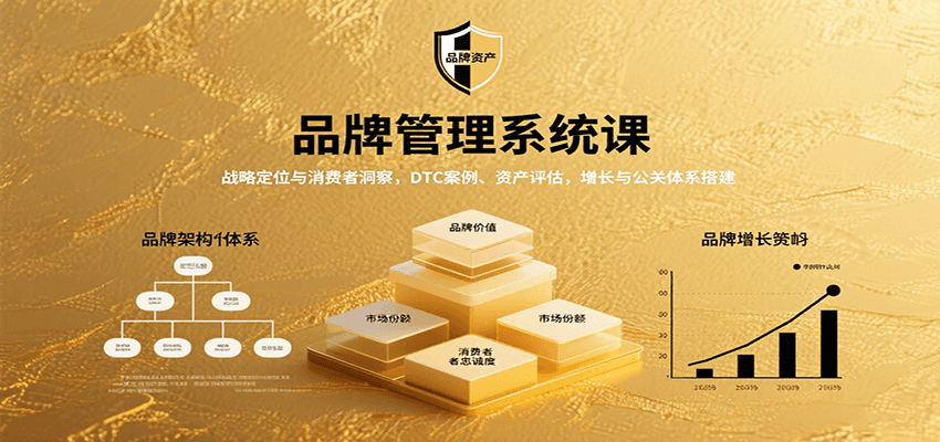 品牌管理系统课：战略定位与消费者洞察，DTC案例、资产评估，增长与公关体系搭建-领学通