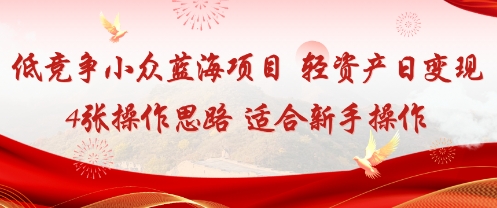 低竞争小众蓝海项目,轻资产日变现4张的操作思路适合新手操作-领学通