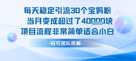 每天稳定引流30个人 当月变成超过了4个W项目流程非常简单适合小白-领学通