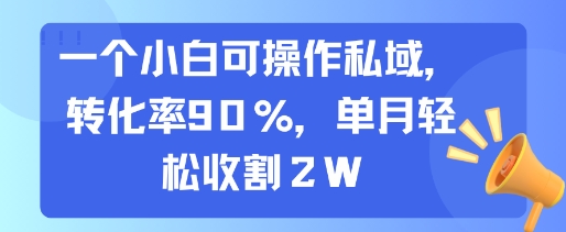 一个小白可操作私域，转化率90%，单月轻松收割2W-领学通