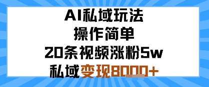 AI私域玩法，操作简单，20条视频涨粉5w，私域变现8k+-领学通
