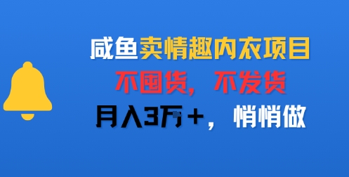 咸鱼卖情趣内衣项目，不囤货，不发货，月入3W+，悄悄做-领学通