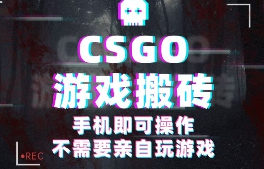 CSGO游戏挂G捡漏,单日扫货5张+,年底小高峰上车可吃肉,手机即可操作,兼职副业创业网创【揭秘】-领学通