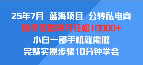 25年7月蓝海项目，公转私电商，随便做做单月轻松1w，小白一部手机就能做，完整实操步骤10分钟学会-领学通