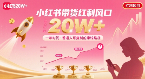 一年时间靠小红书带货项目年入20w+，最不能错的大红利项目-领学通