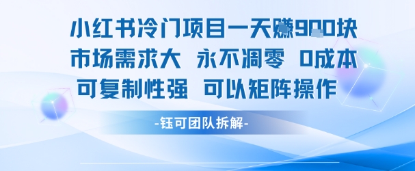 小红书冷门项目一天收益9张，市场需求大，0成本，可复制性强可以矩阵操作-领学通