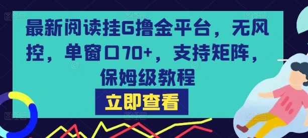 最新阅读挂G撸金平台，无风控，单窗口70+，支持矩阵，保姆级教程【揭秘】-领学通